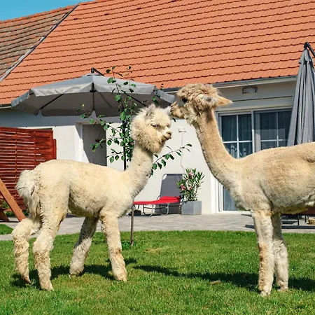 Alpakavendégház Apartamento